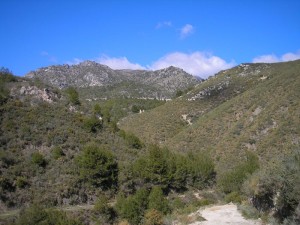 The Barranco de Acebuchal valley  